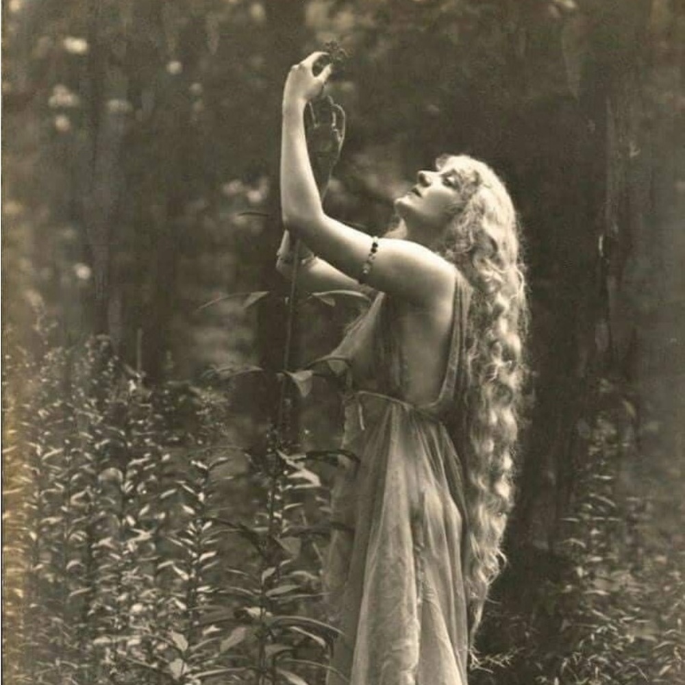 ♡ 𝚠𝚎𝚕𝚌𝚘𝚖𝚎 - Picture 8 of 8